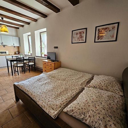 Apartmanove Ubytovani V Koutech Loučná nad Desnou エクステリア 写真
