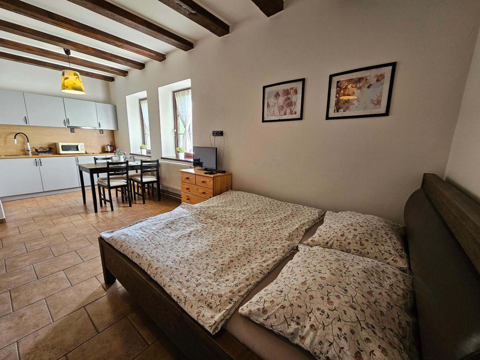 Apartmanove Ubytovani V Koutech Loučná nad Desnou エクステリア 写真