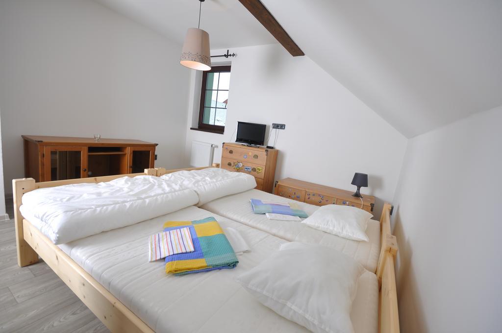 Apartmanove Ubytovani V Koutech Loučná nad Desnou エクステリア 写真
